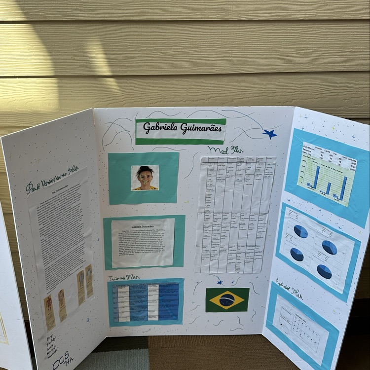 performance plan project 