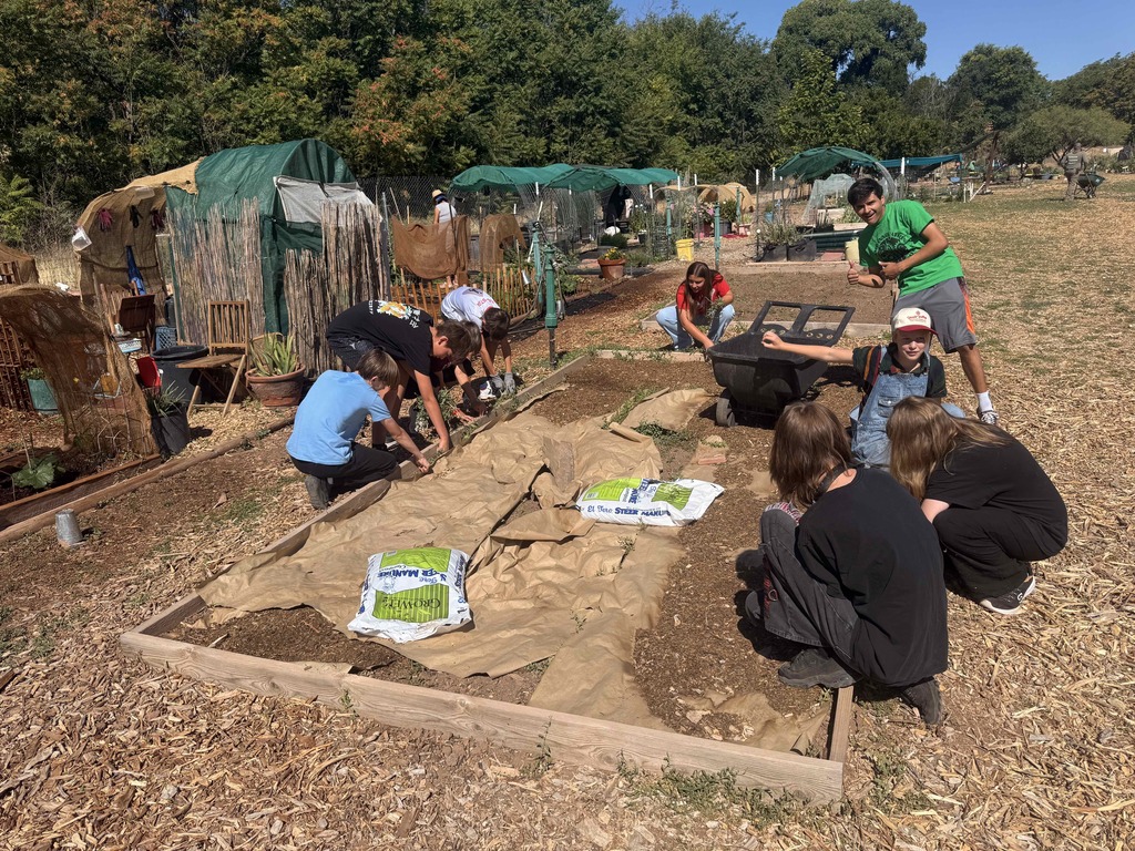 Putting potting soil in garden beds