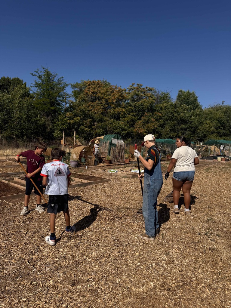 Group raking