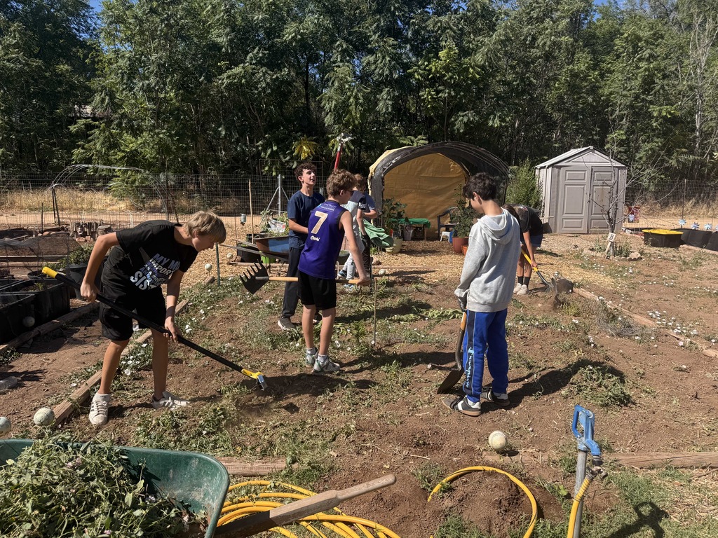 Cleaning Garden beds with a hoe