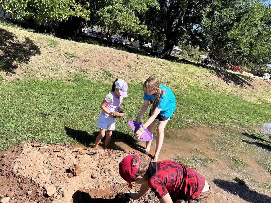 Mud pies