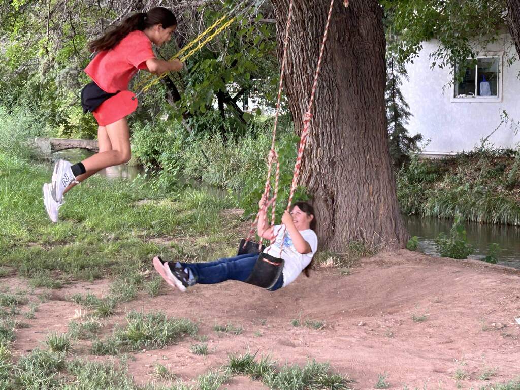 Swing