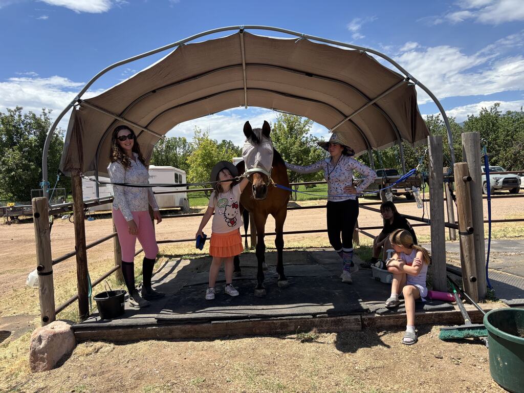 Equine learning