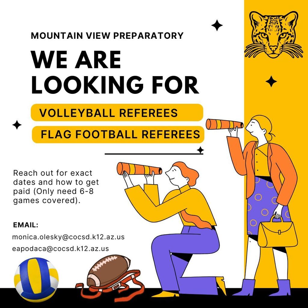 referee