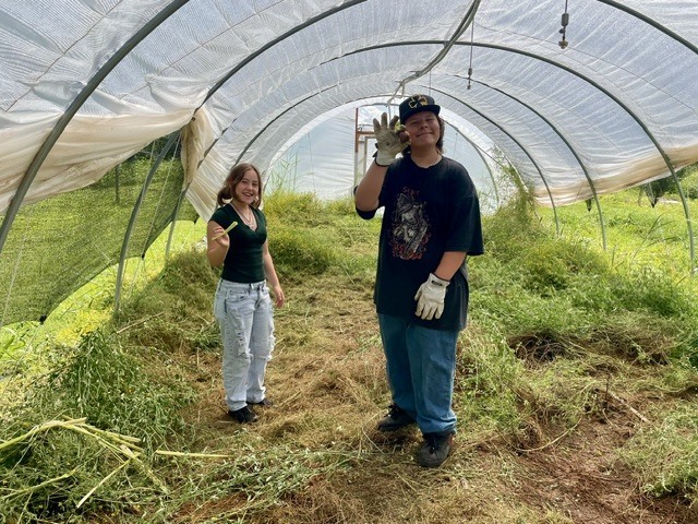 Hoop house