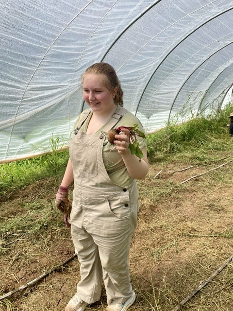 Hoop house