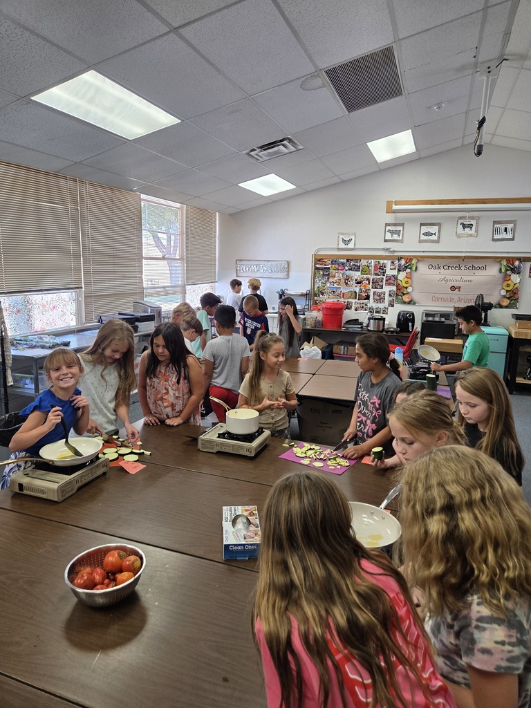 Class prepping fresh vegetables