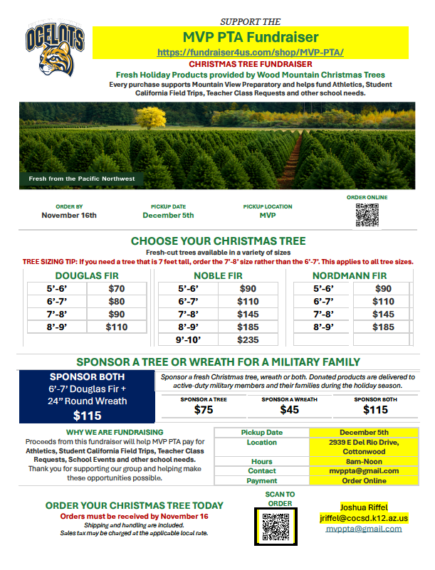 Xmas Tree Fundraiser