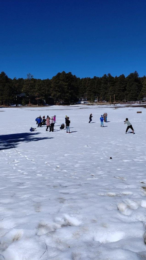 students involved in a fun snowball fight