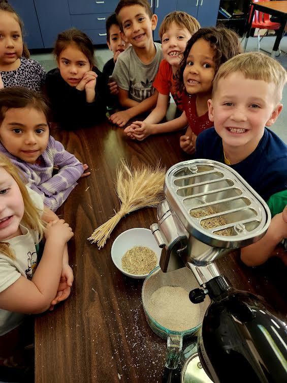 Students around a table with ground wheat