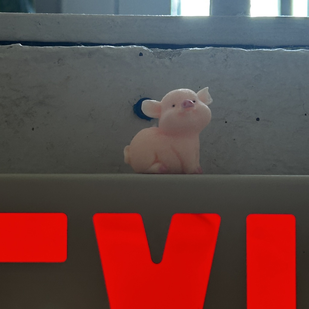 little piggy on exit sign