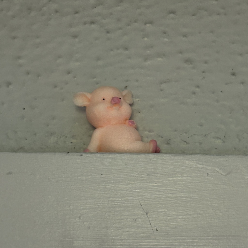 Little piggy