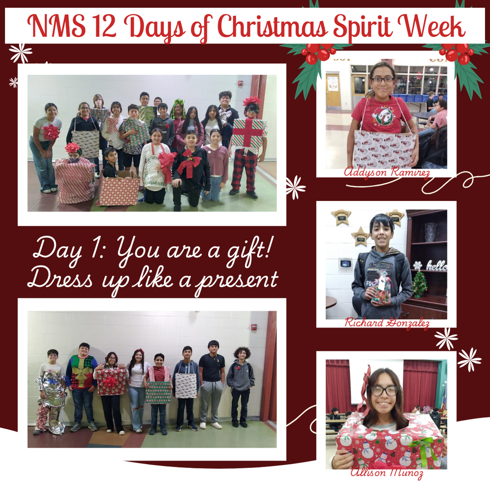 NMS 12 Days of Christmas Giveaway - Day 1