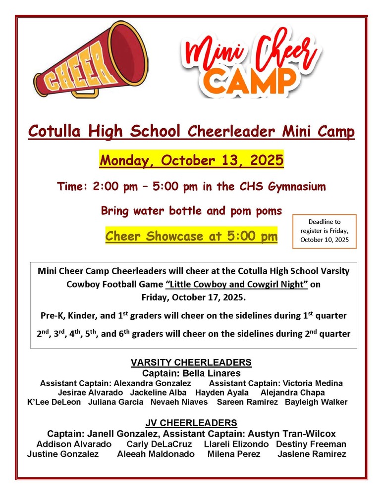 mini camp flyer