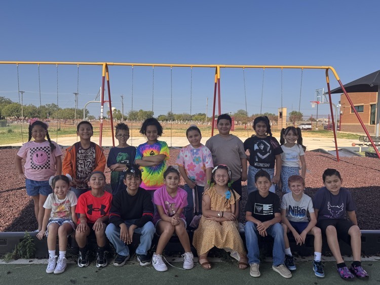 3rd Grade Crazy Hair Day