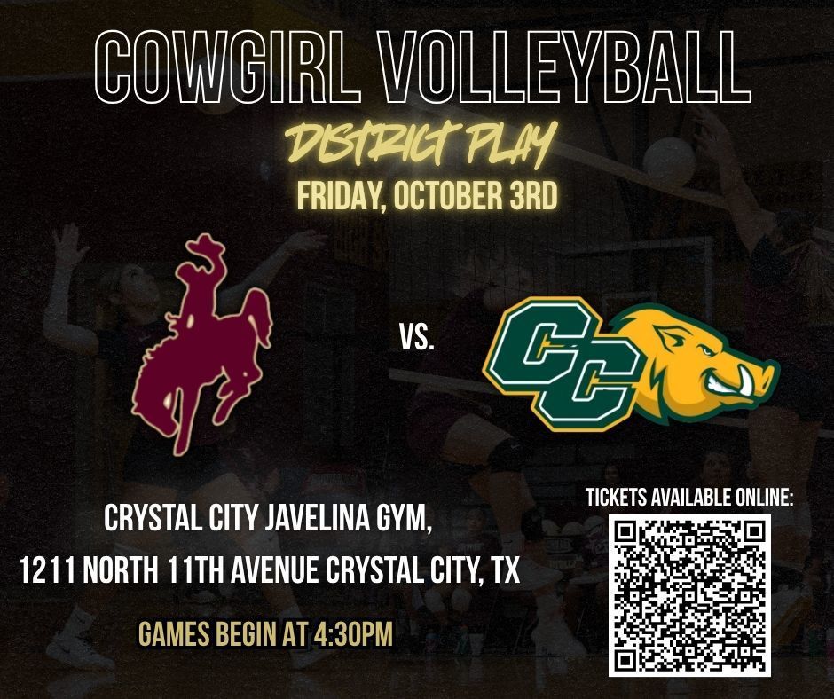 chs vb