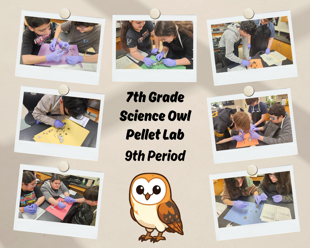 7th Grade Science Owl Pellet Lab