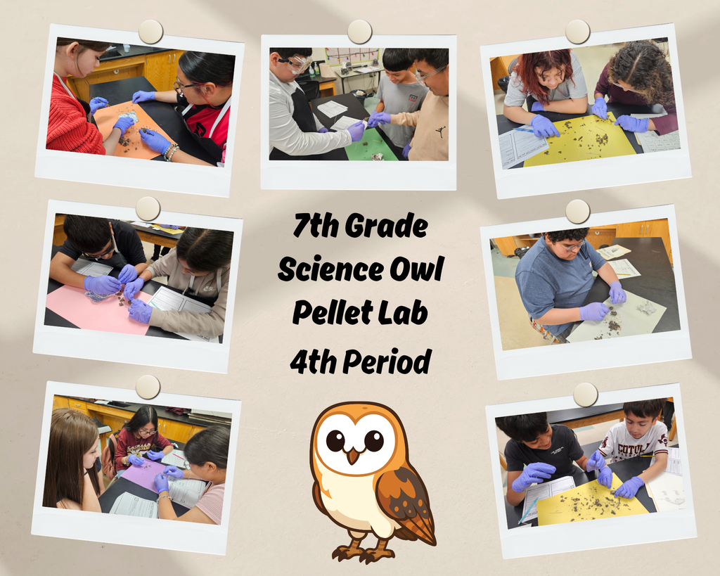 7th Grade Science Owl Pellet Lab
