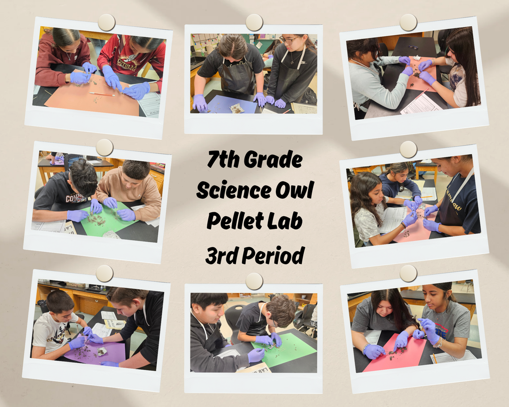 7th Grade Science Owl Pellet Lab