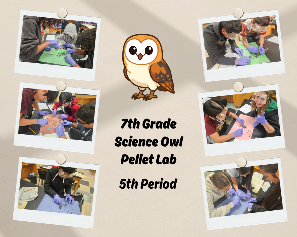 7th Grade Science Owl Pellet Lab