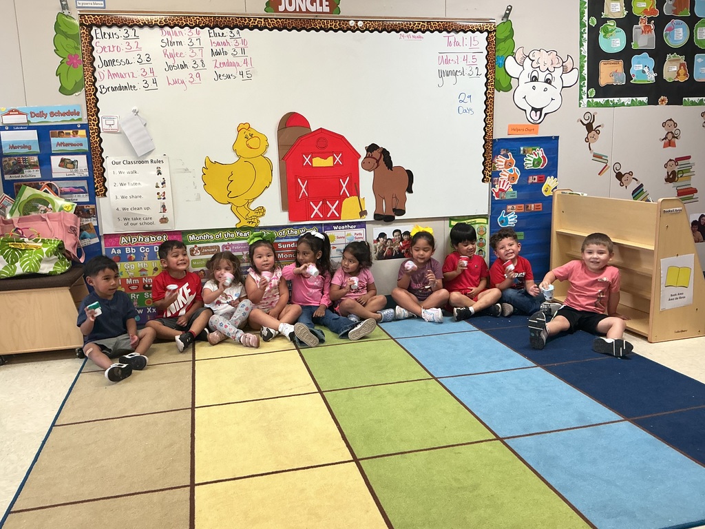 Toddler 2 Musical instruments