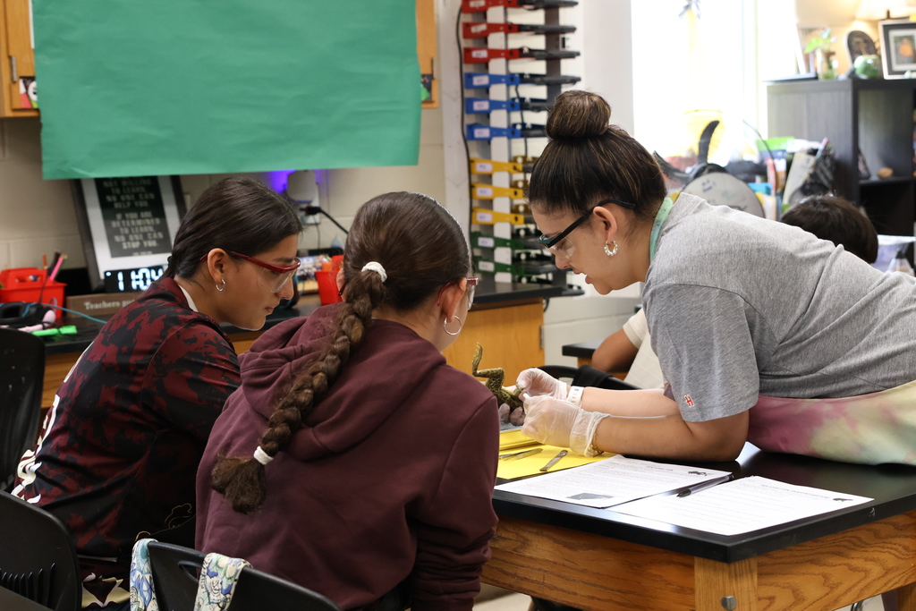 Science lab - Frog Dissection