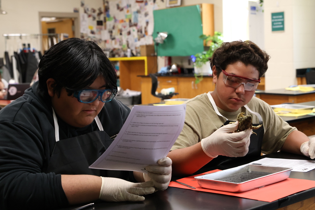 Science lab - Frog Dissection