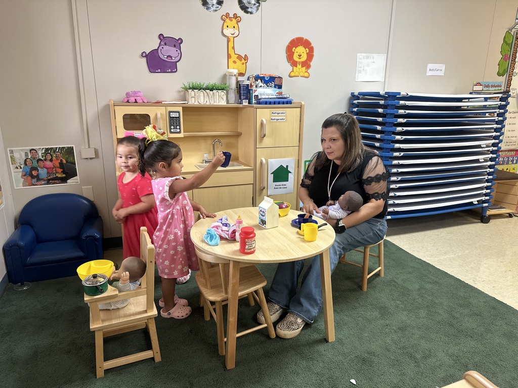 Toddler Teacher