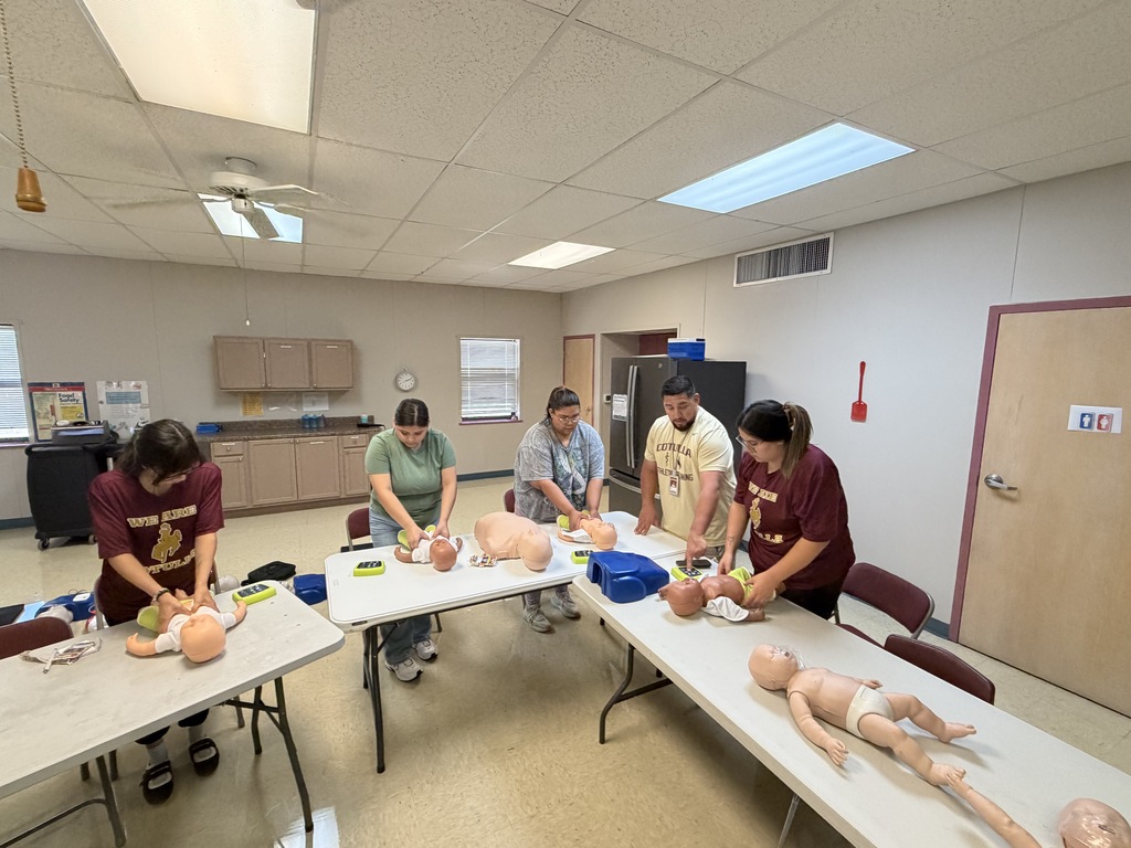 Baby CPR Training