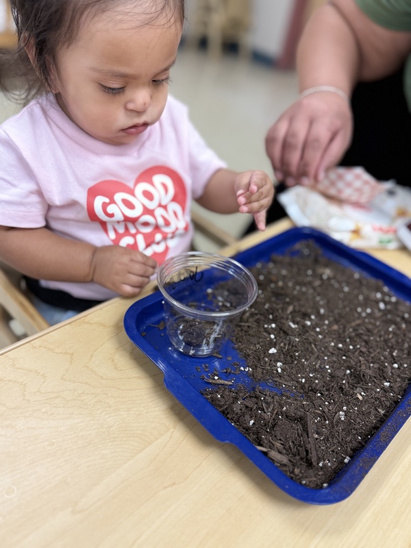 Infant Exploring Soil