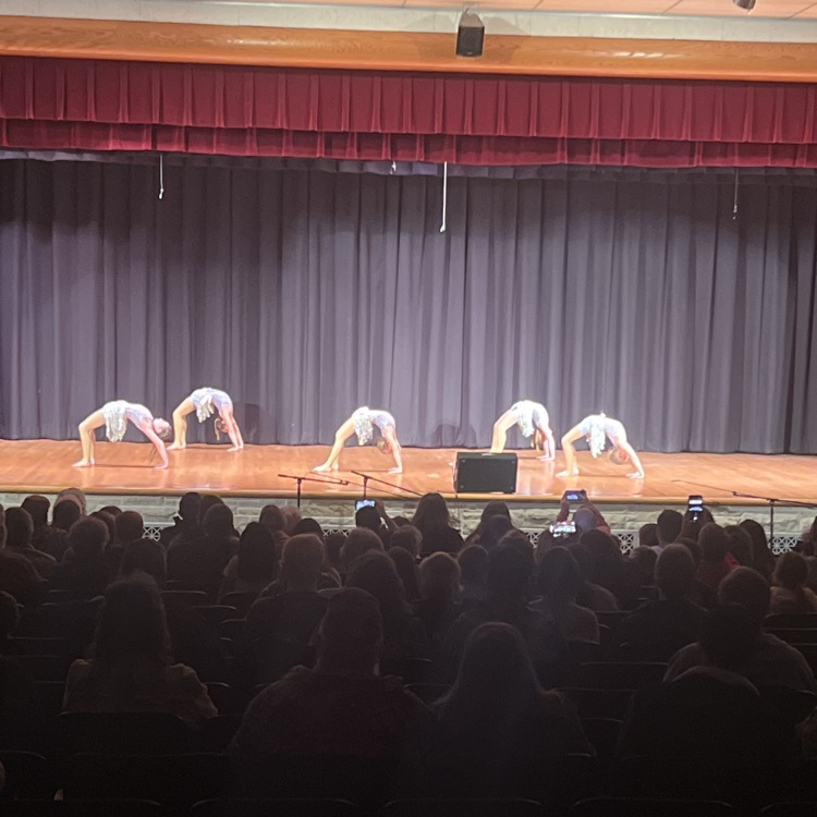 student performers for falcon follies