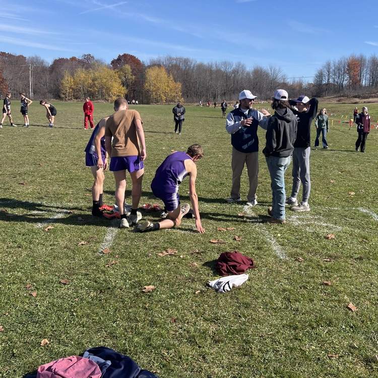 Falcon XC runners