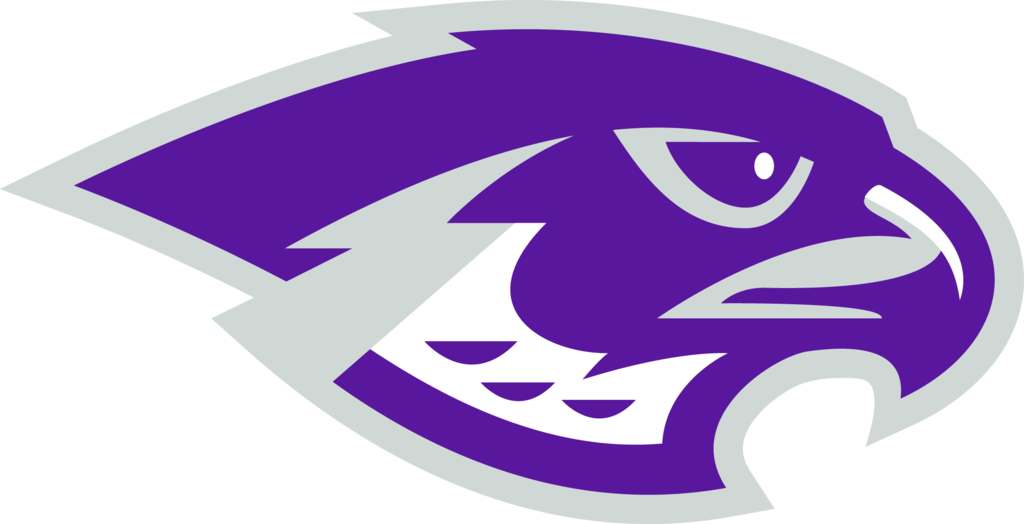 falcon head