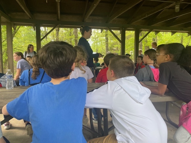 Learning about reptiles