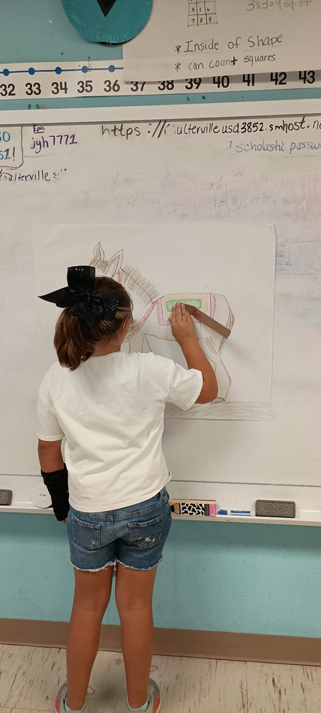Mexican Heritage Day
