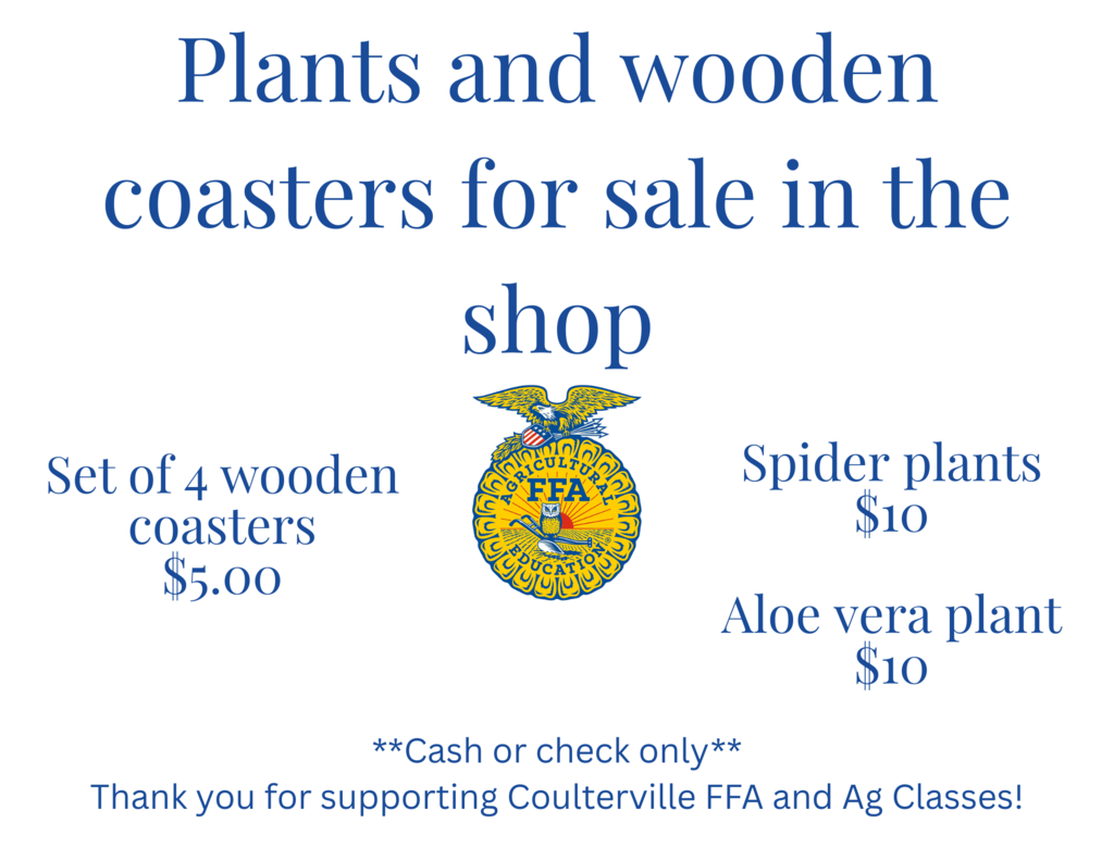 Plant and wooden coaster sale during parent teacher conferences