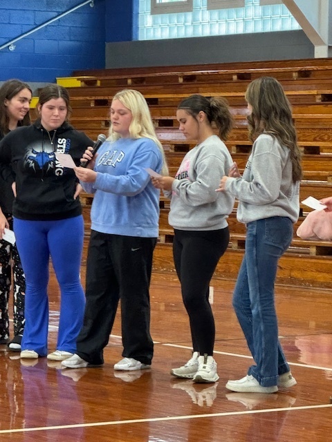 Student Advisory Team