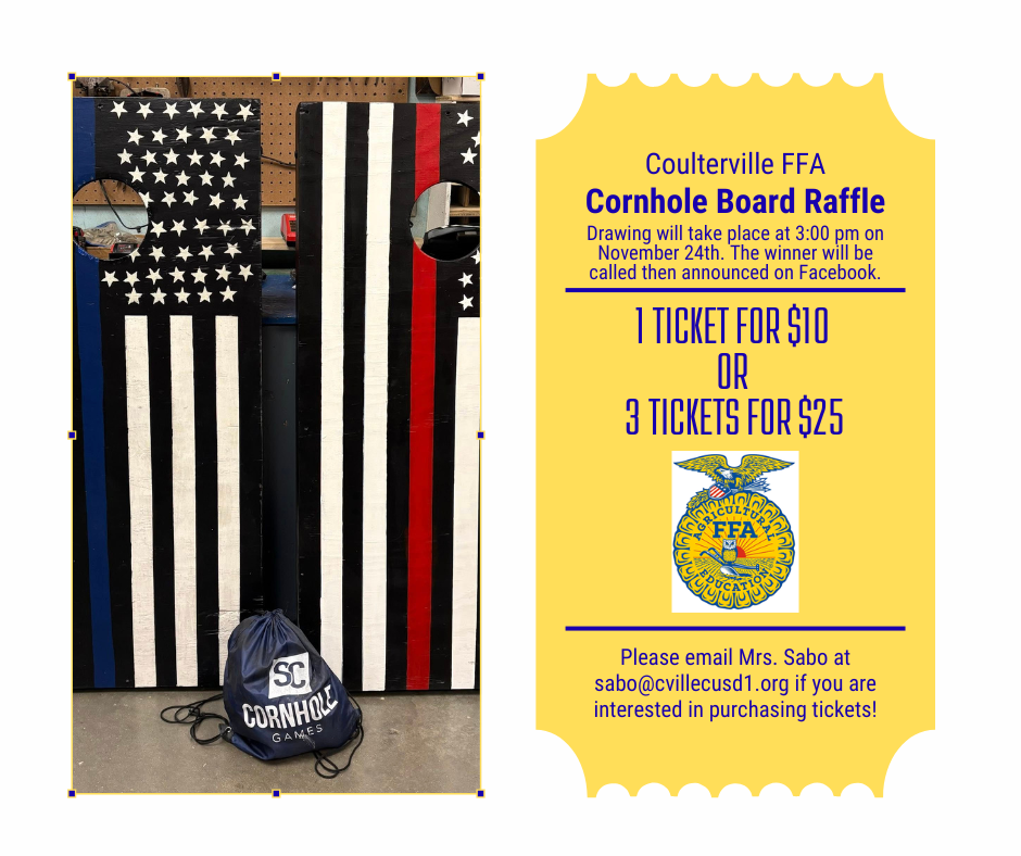 Cornhole board raffle
