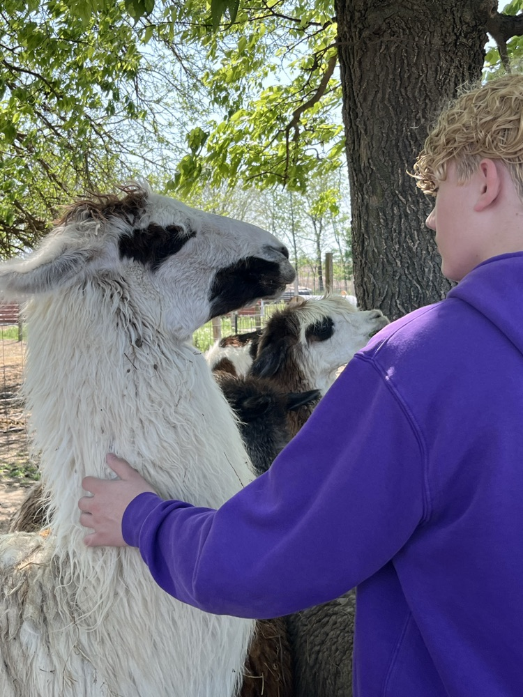 Dalton with a Lama