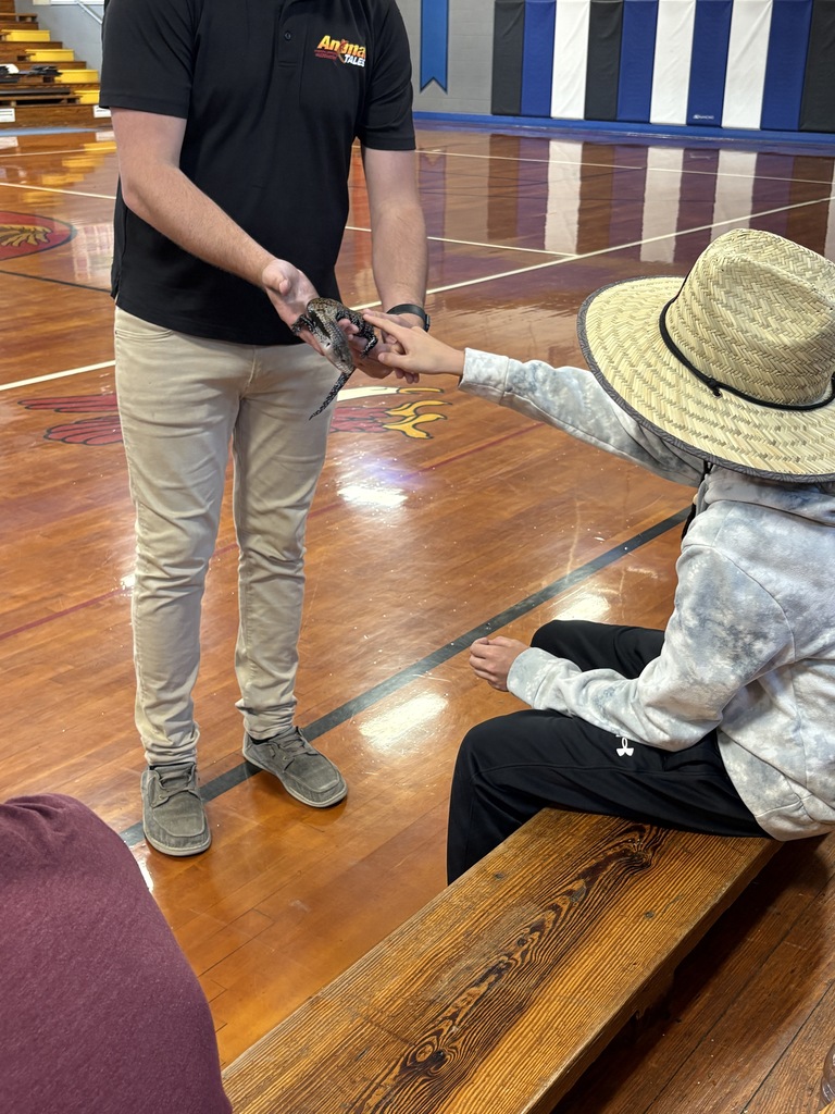 Petting a lizard! 