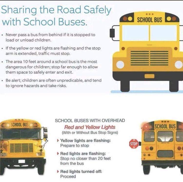 school bus safety 