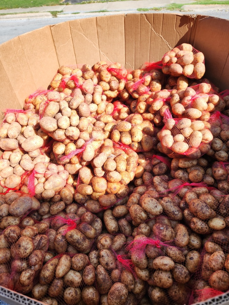 potatoes