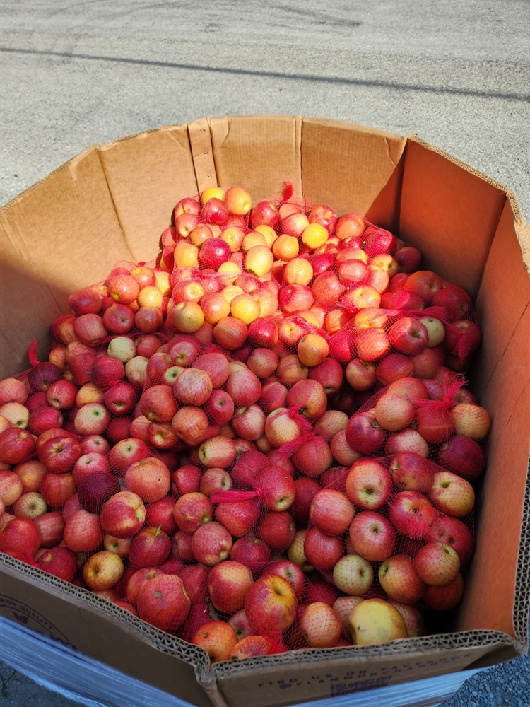 apples