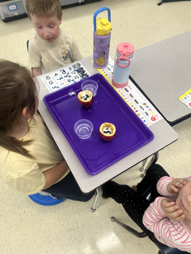 kindergarten