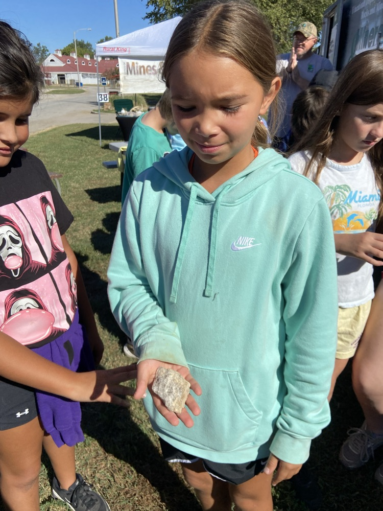 conservation fair