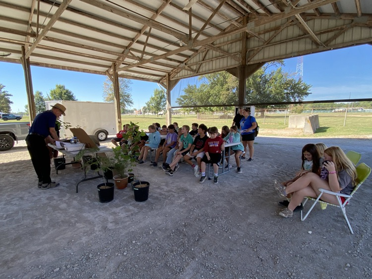 conservation fair