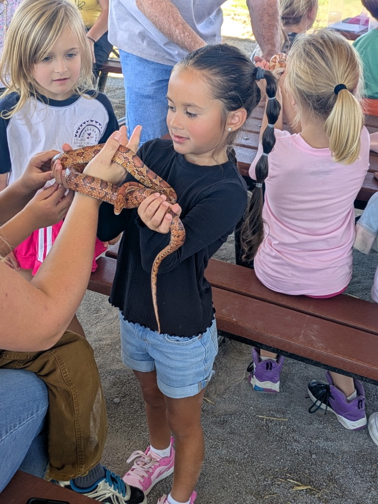 conservation fair