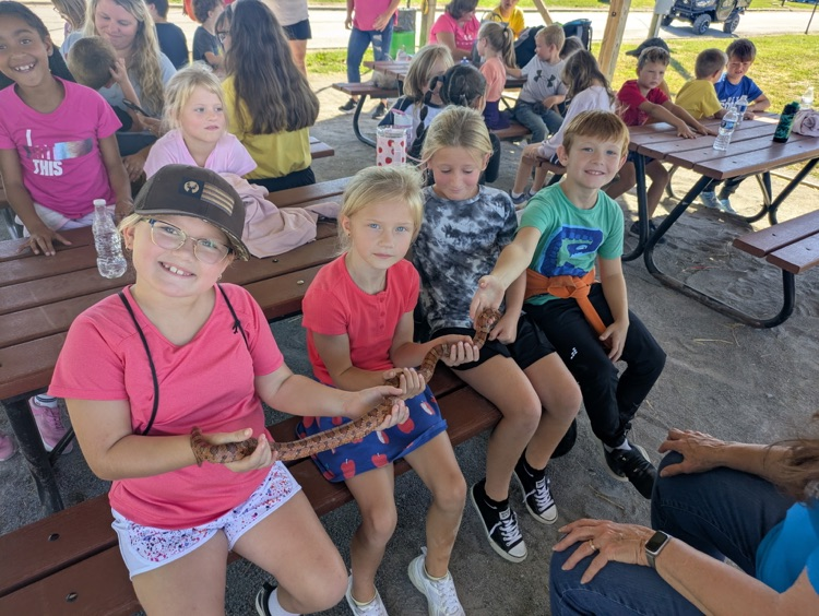 conservation fair