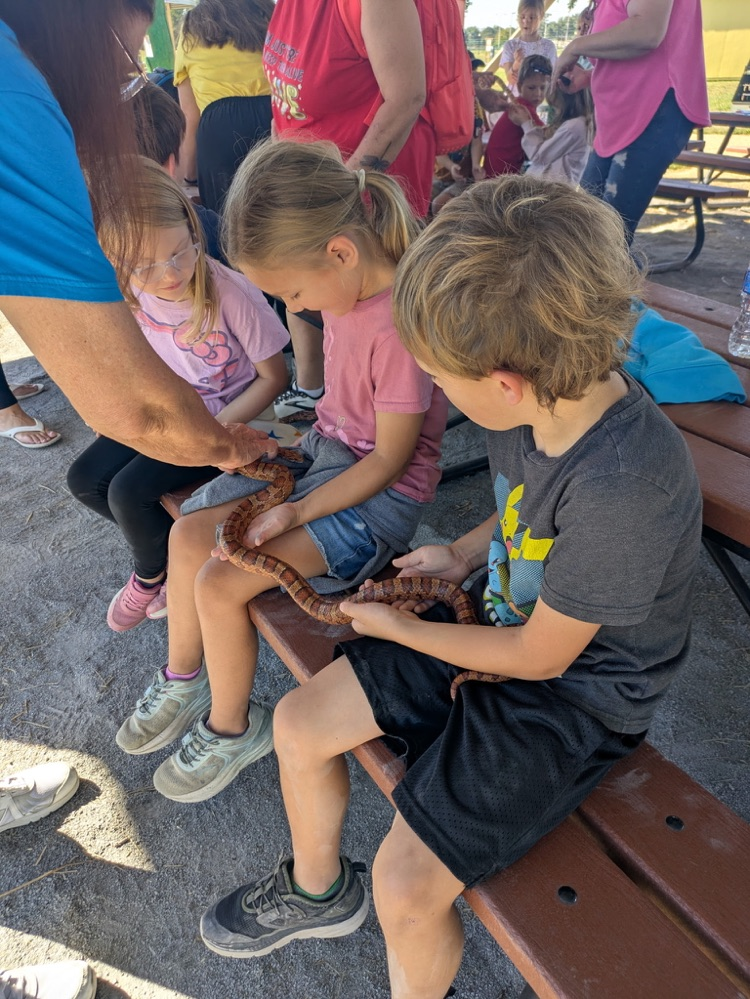 conservation fair