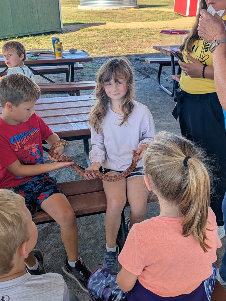 conservation fair